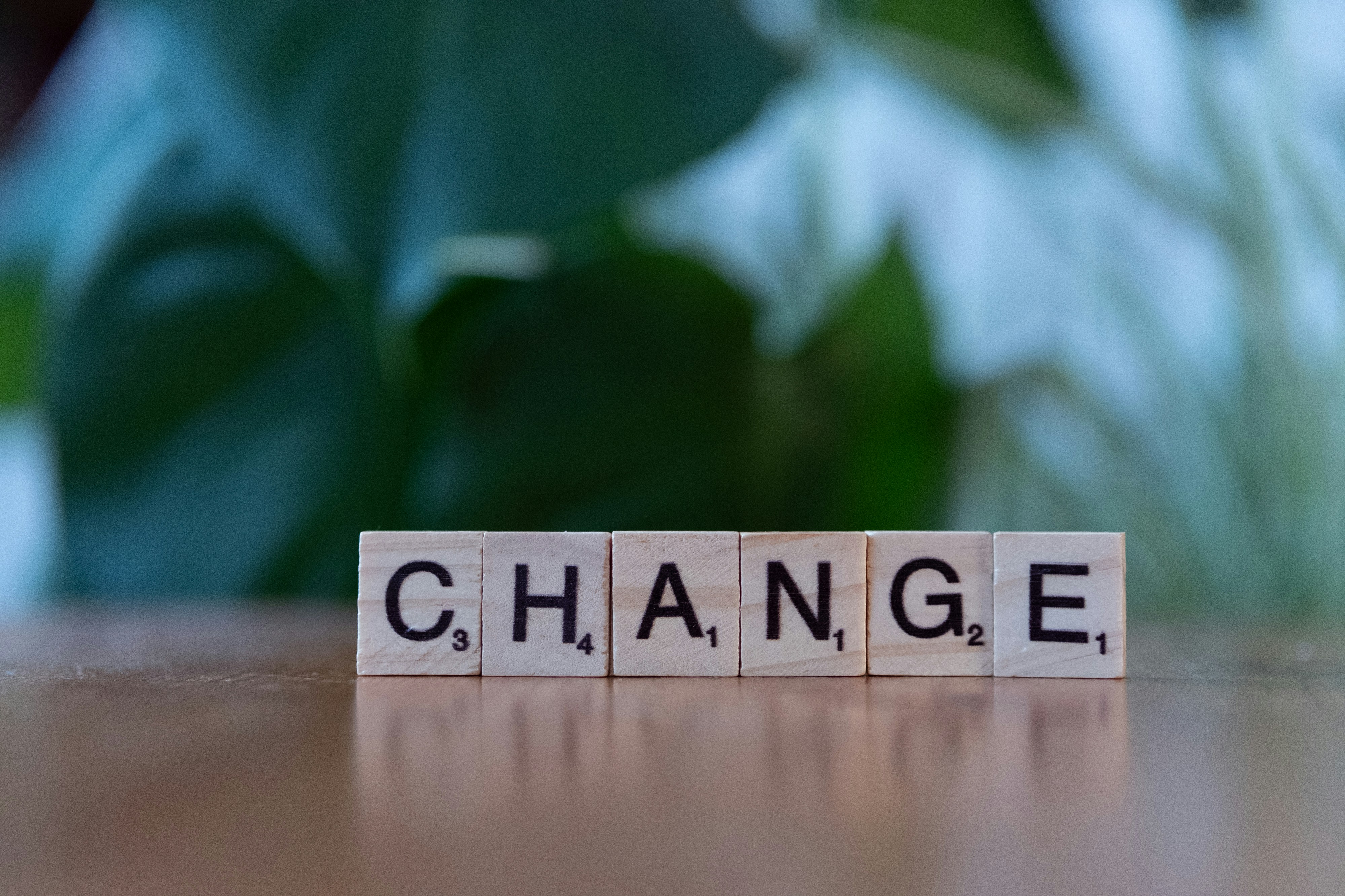 The Lone Wolf vs. The Pack: Why Your Change Strategy Is Failing The Lone Wolf vs. The Pack: Why Your Change Strategy Is Failing